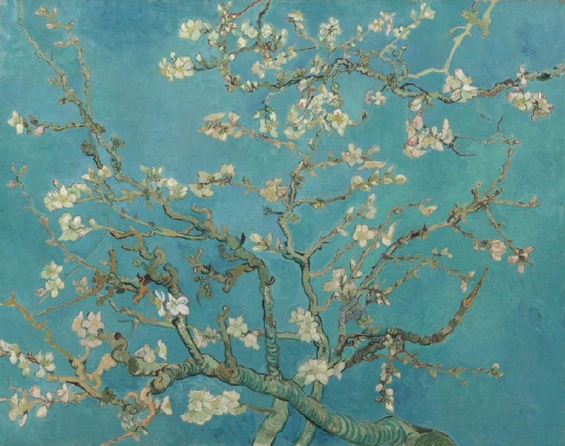 Almond - Van Gogh